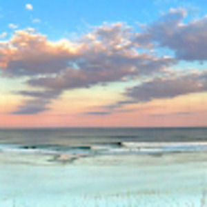 Meet your Posher, Louise